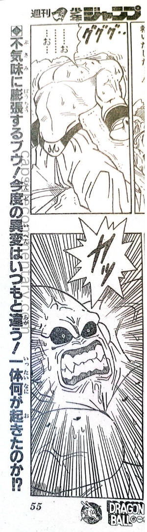 Weekly Shōnen Jump 1995 №12 page 55