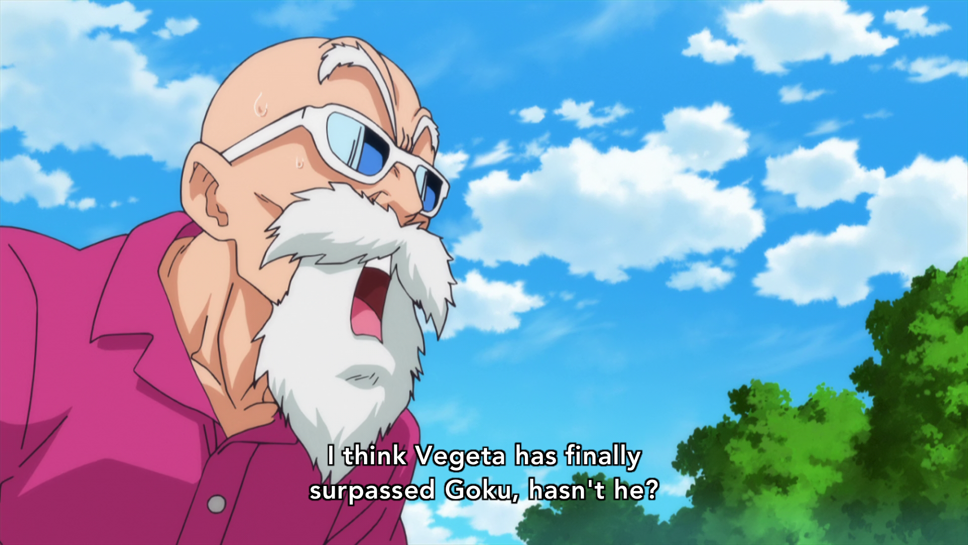 Dragon Ball Z: Battle of Gods. Kame Sennin compares Vegeta to Goku, not Gohan.