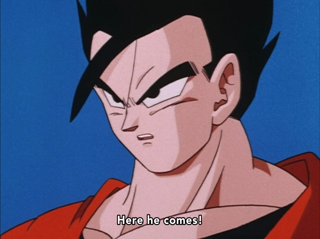 Funimation's dub of Dragon Ball Z episode 263