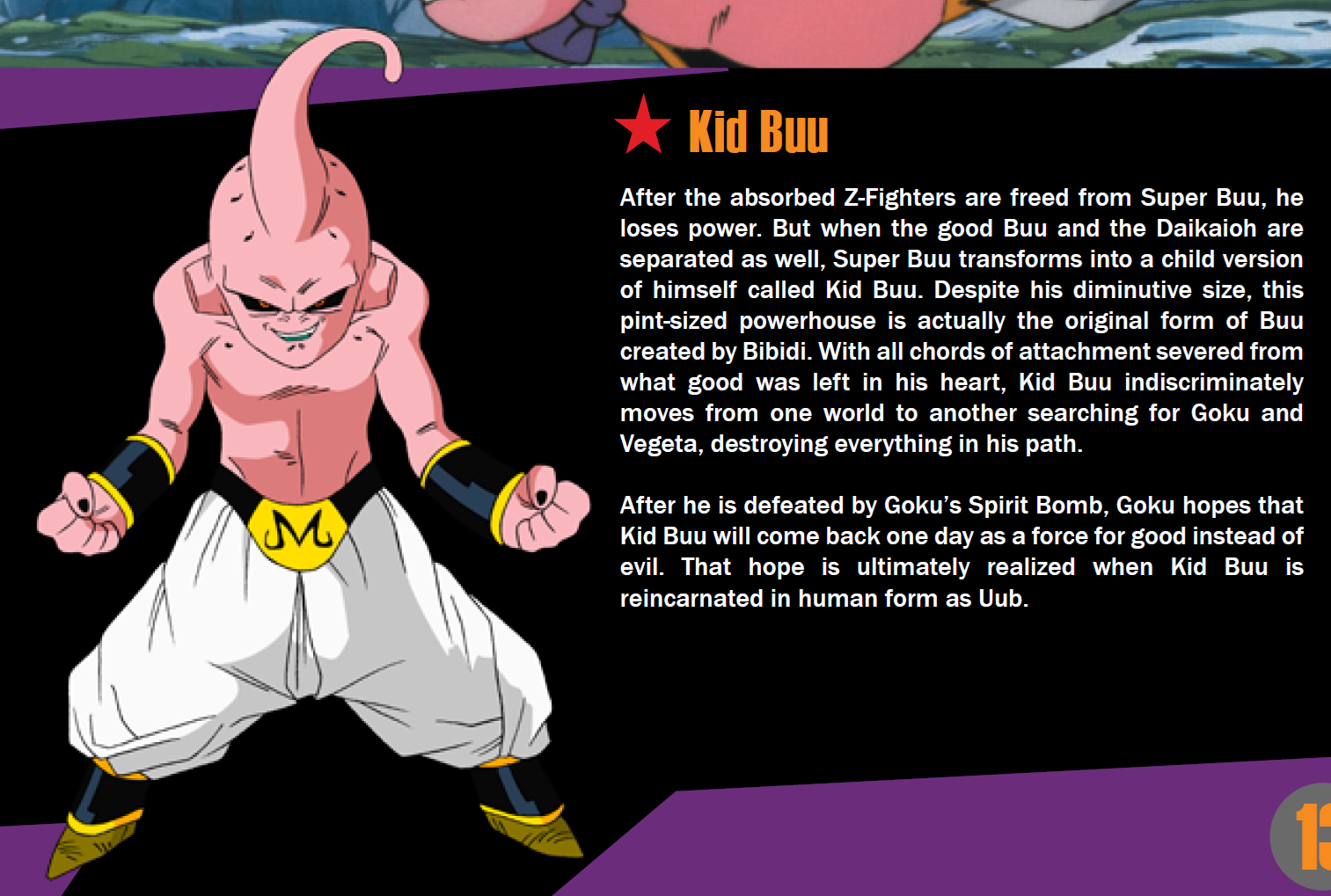 Dragon Ball Z: Season 9 booklet page 13