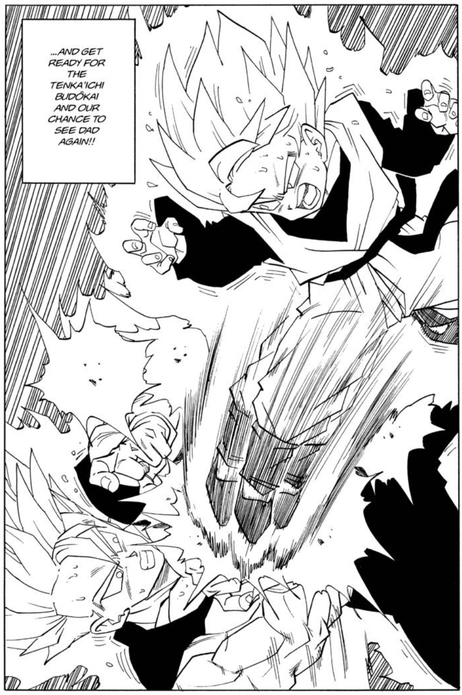 Dragon Ball chapter 429 page 14