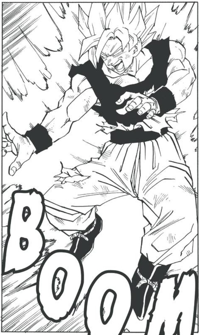 Dragon Ball chapter 516 page 10