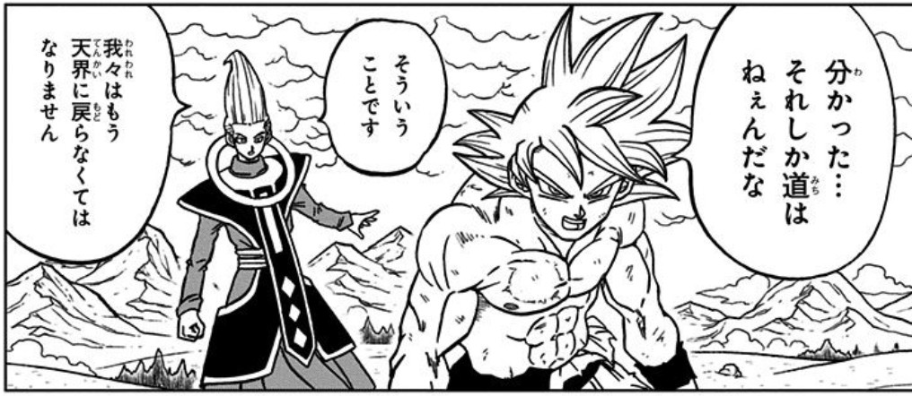 Dragon Ball Super chapter 66 page 10