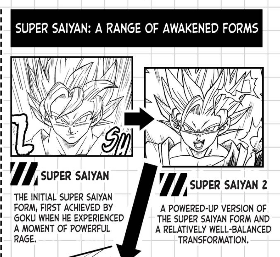 Dragon Ball Super Vol. 20 page 206