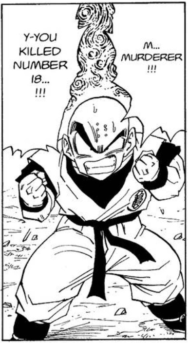 Dragon Ball chapter 382 page 11