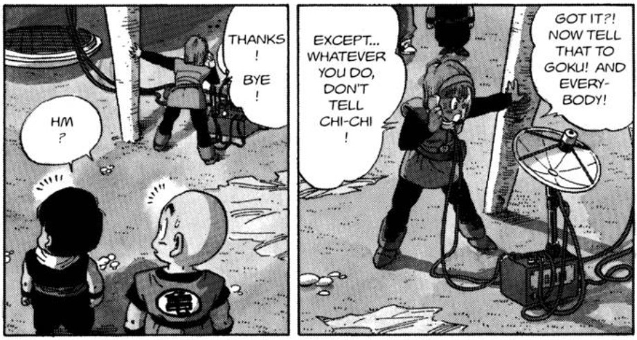 Dragon Ball chapter 247 page 12