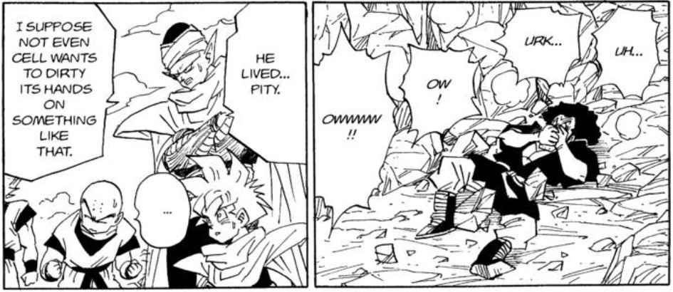 Dragon Ball chapter 396 page 13