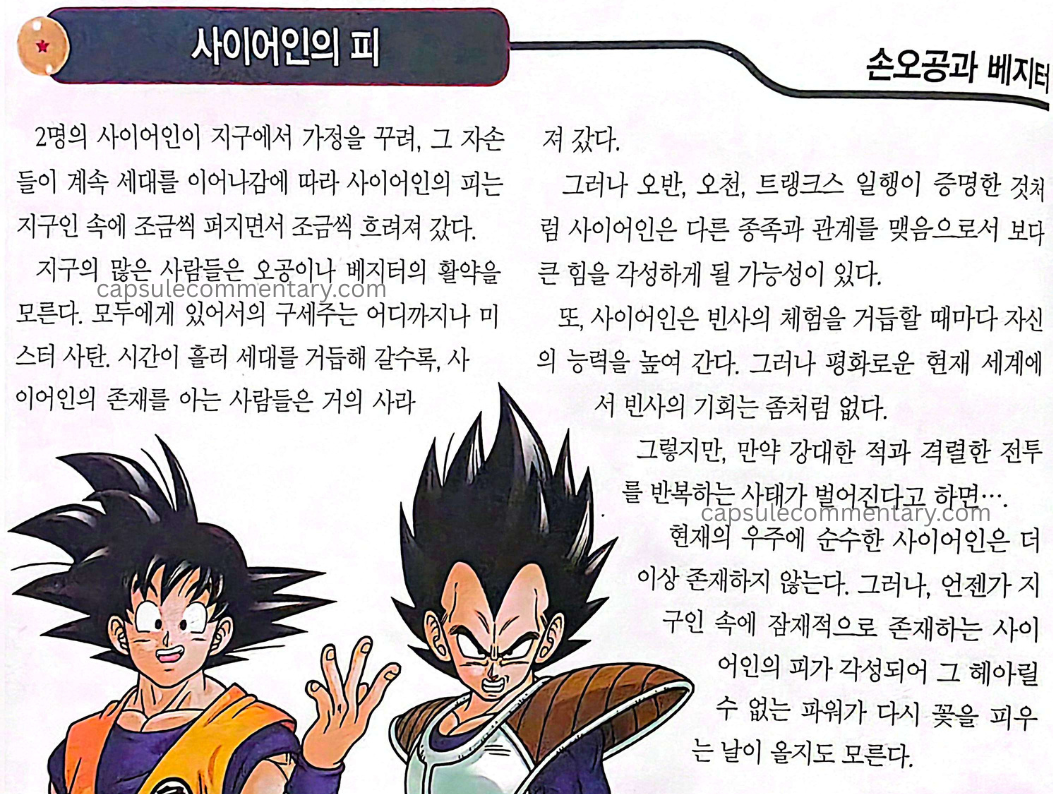 Dragon Ball Online Official Guidebook page 8
