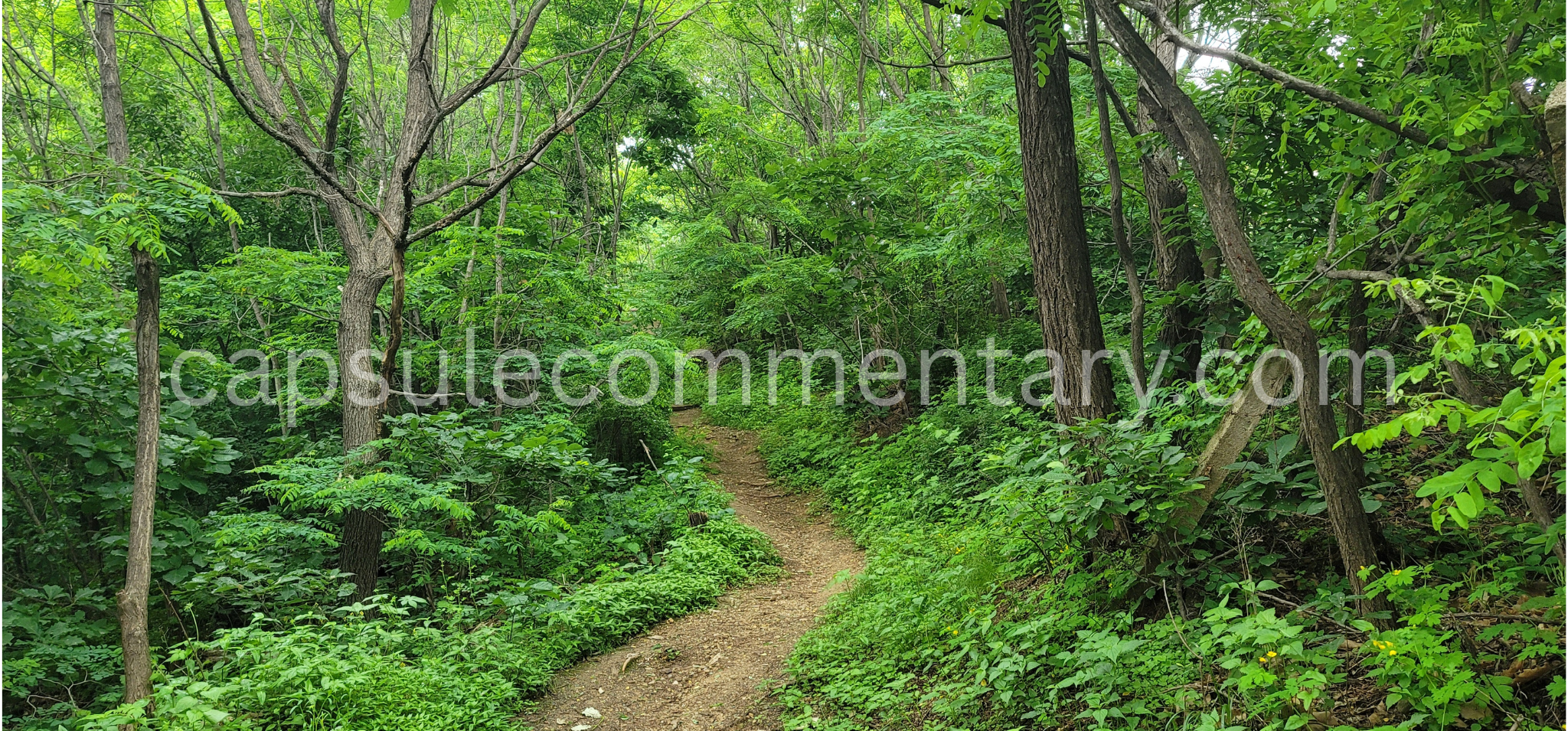 수색산 / 반홍산 Susaeksan / Banhongsan