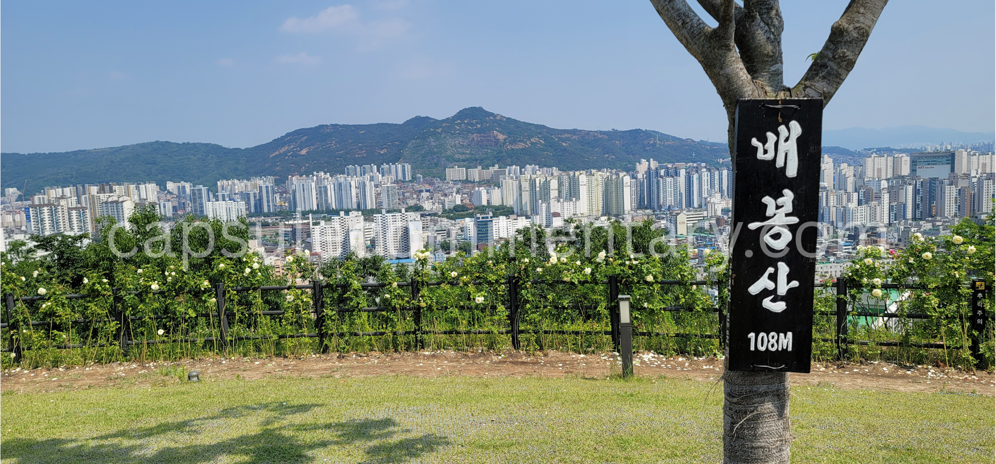 배봉산 Baebongsan