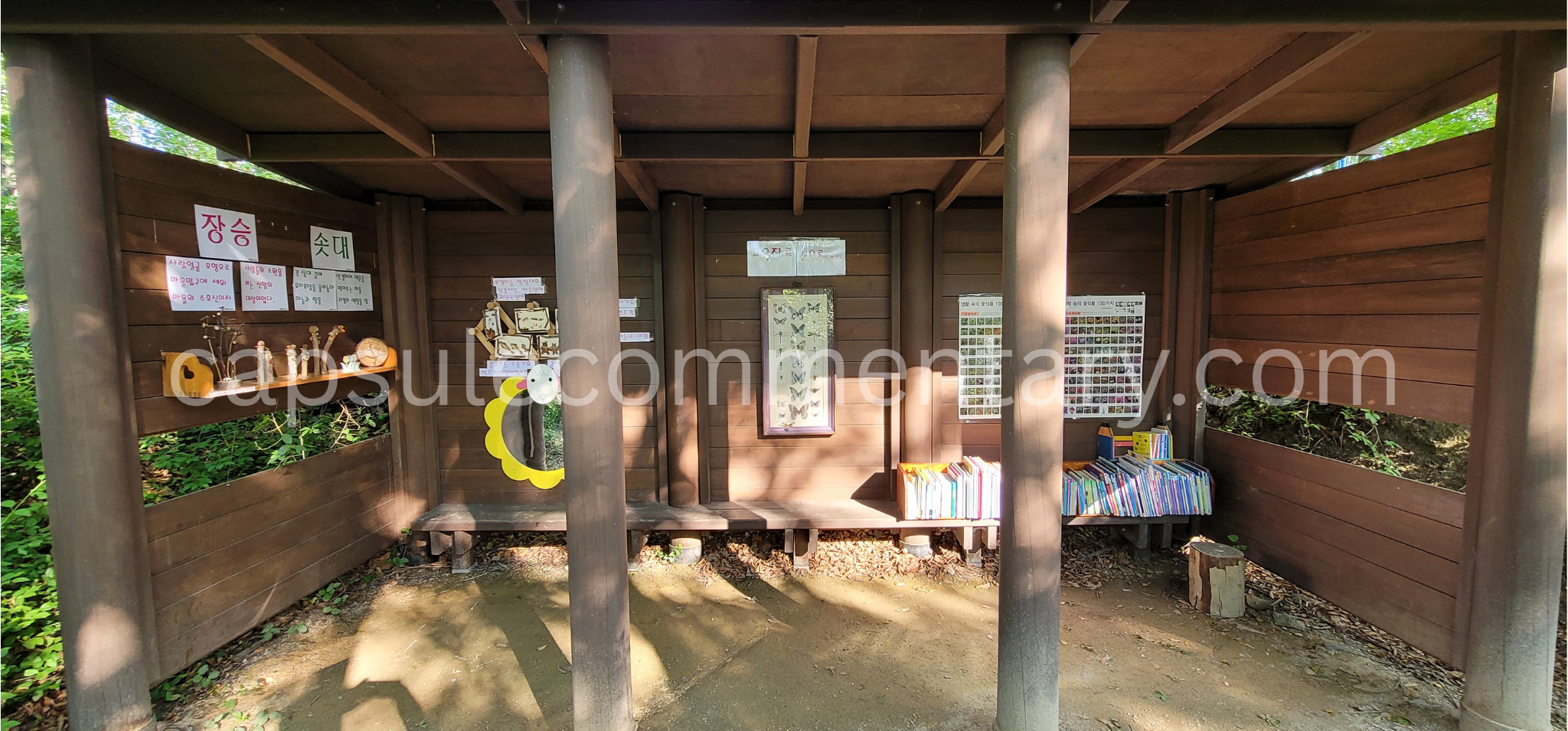 대현산 Daehyeonsan