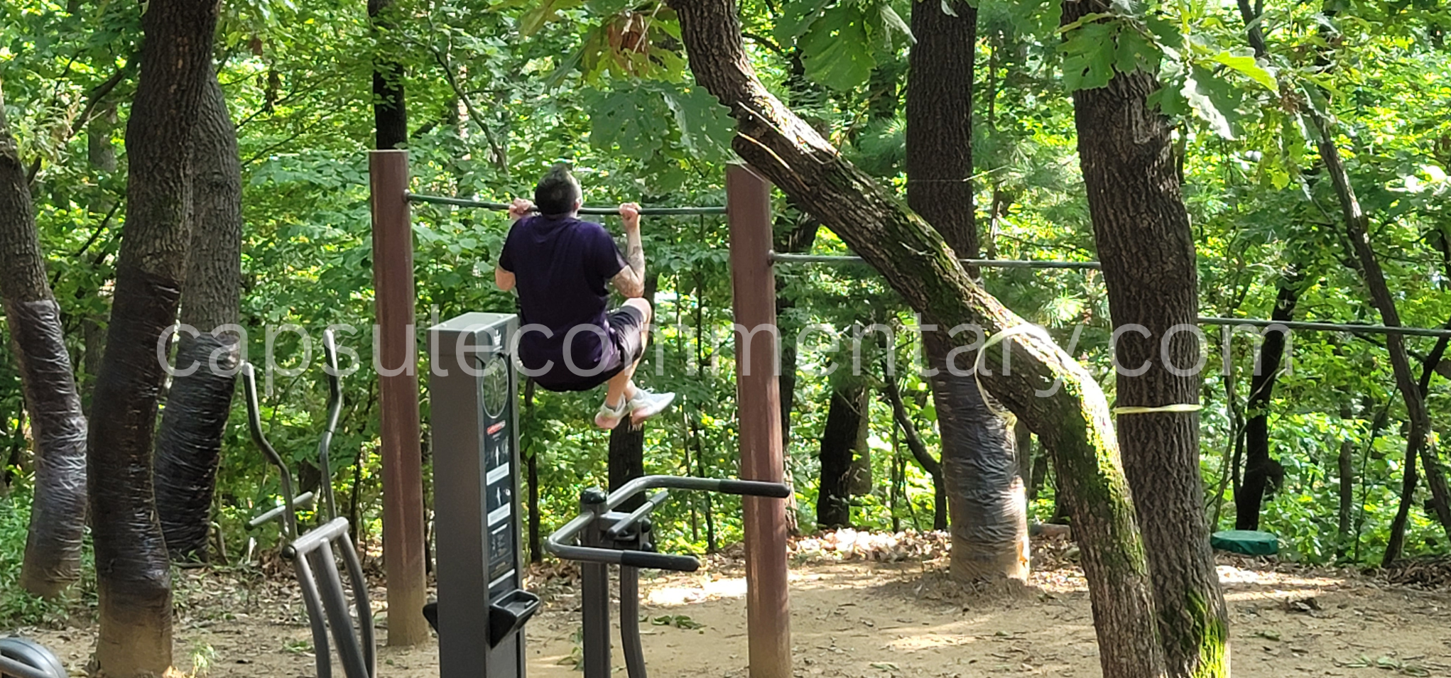 매봉재산 Maebongjaesan