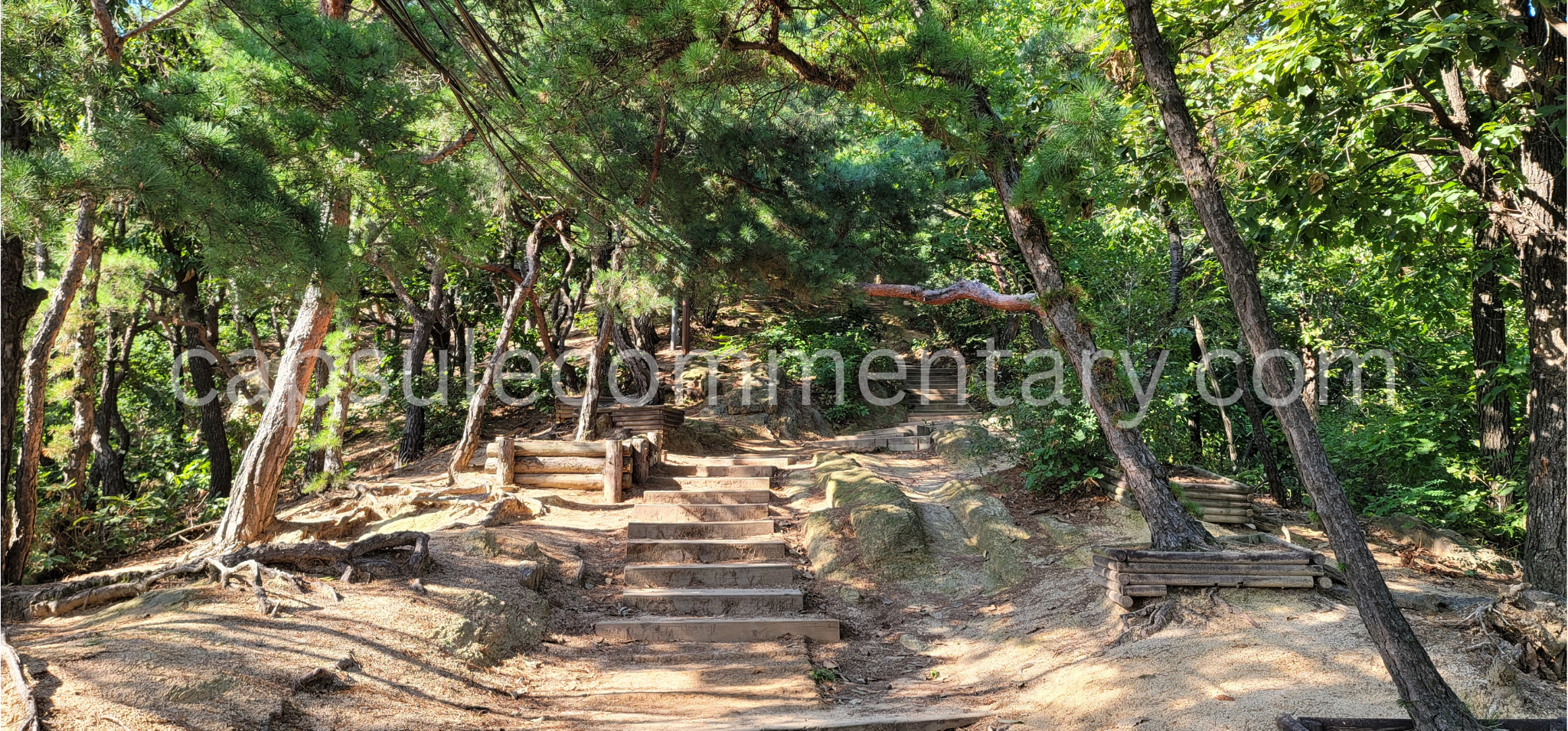 봉화산 Bonghwasan