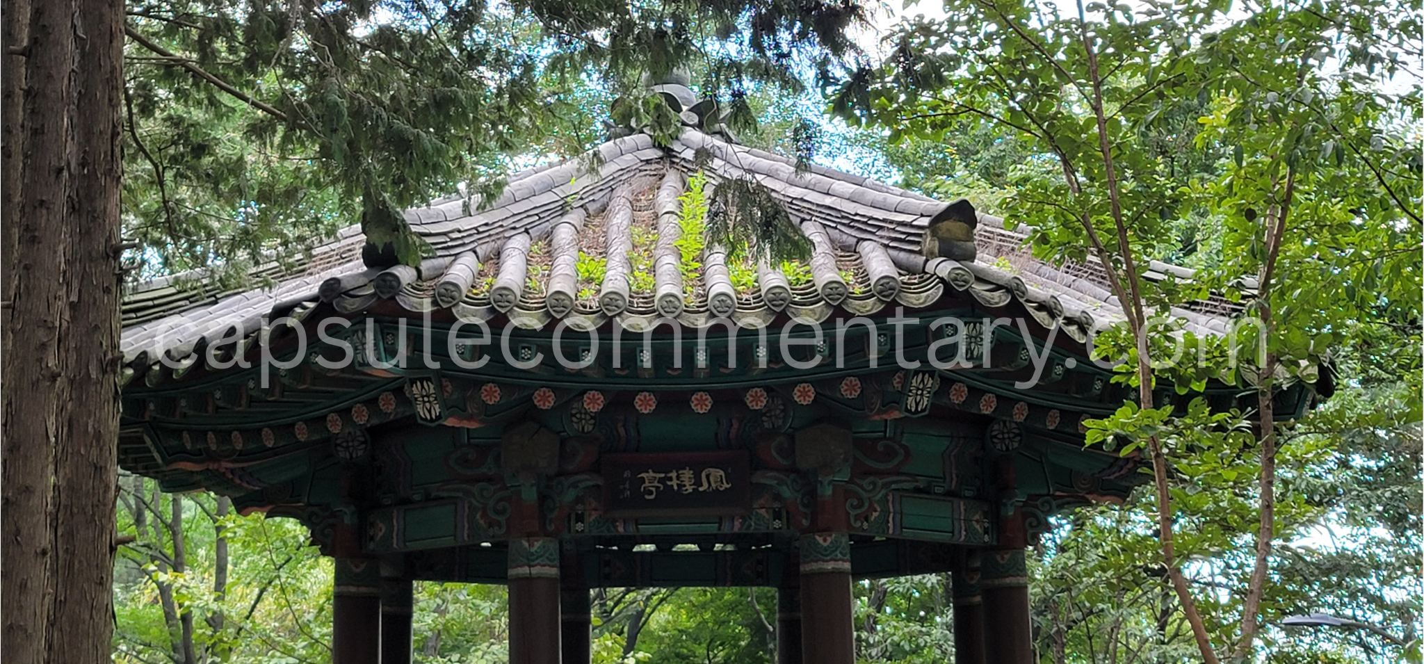 천안에 있는 봉서산 Bongseosan in Cheonan