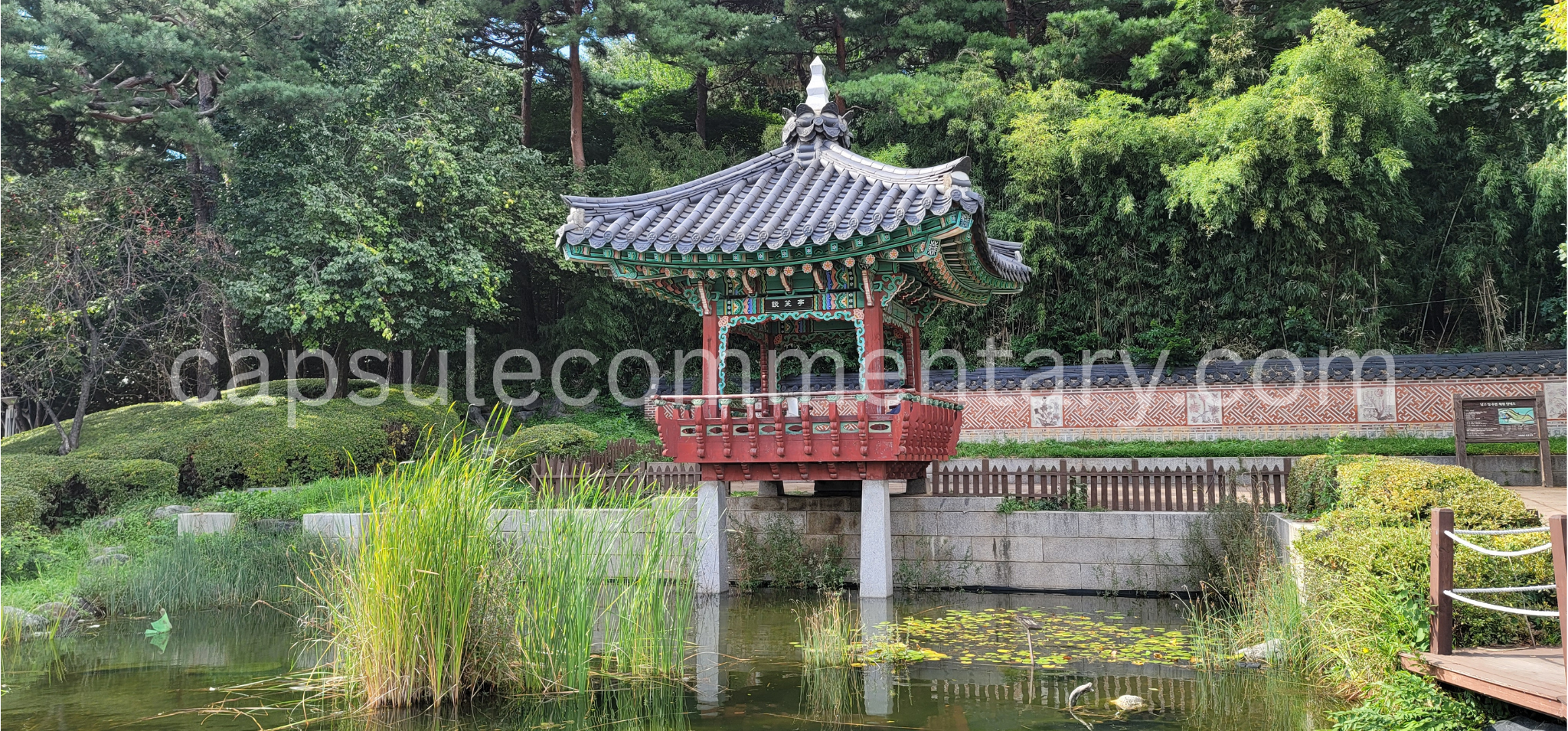 매봉산 Maebongsan