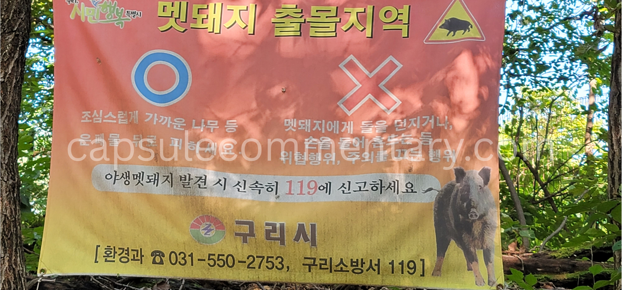 구릉산 Gureungsan