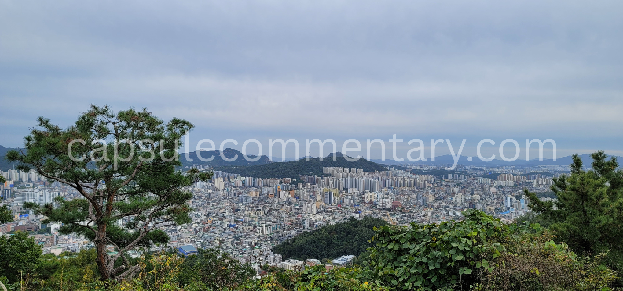봉산에서 본 풍경 View from Bongsan
