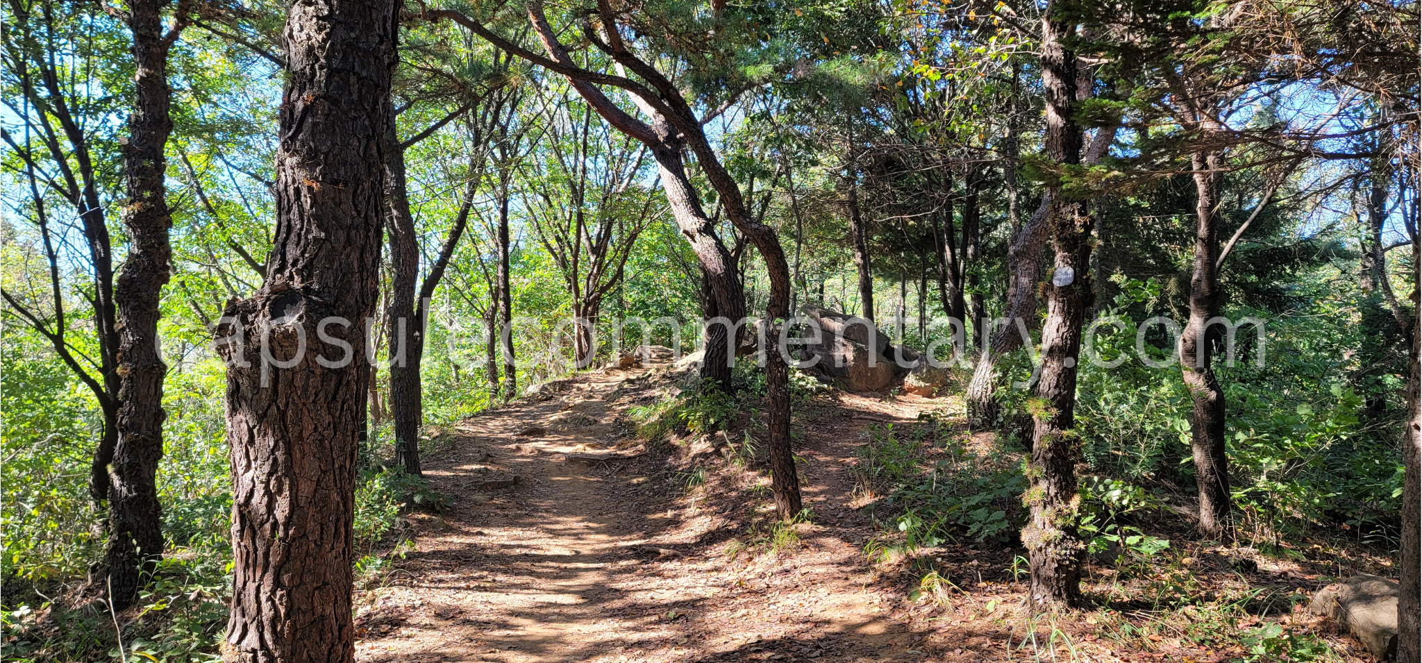 백련산 Baengnyeonsan