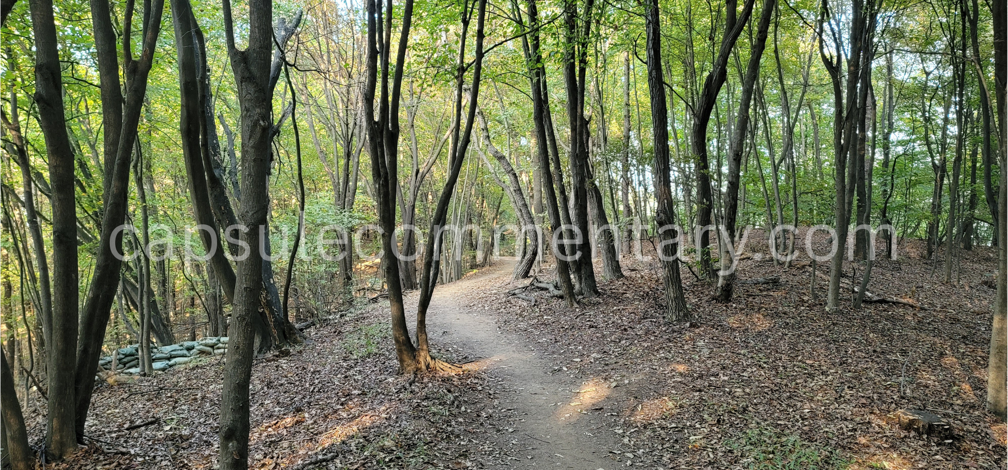 인릉산 Illeungsan