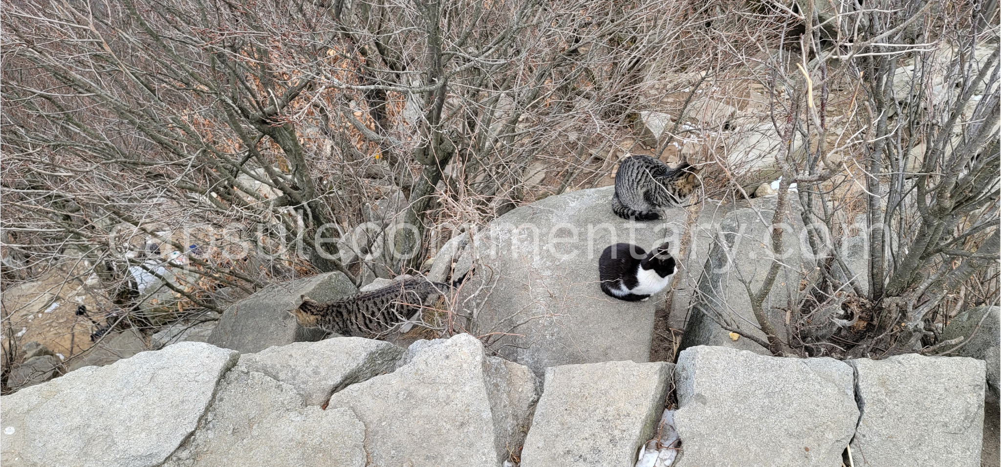 인천에 있는 마니산 Manisan in Incheon