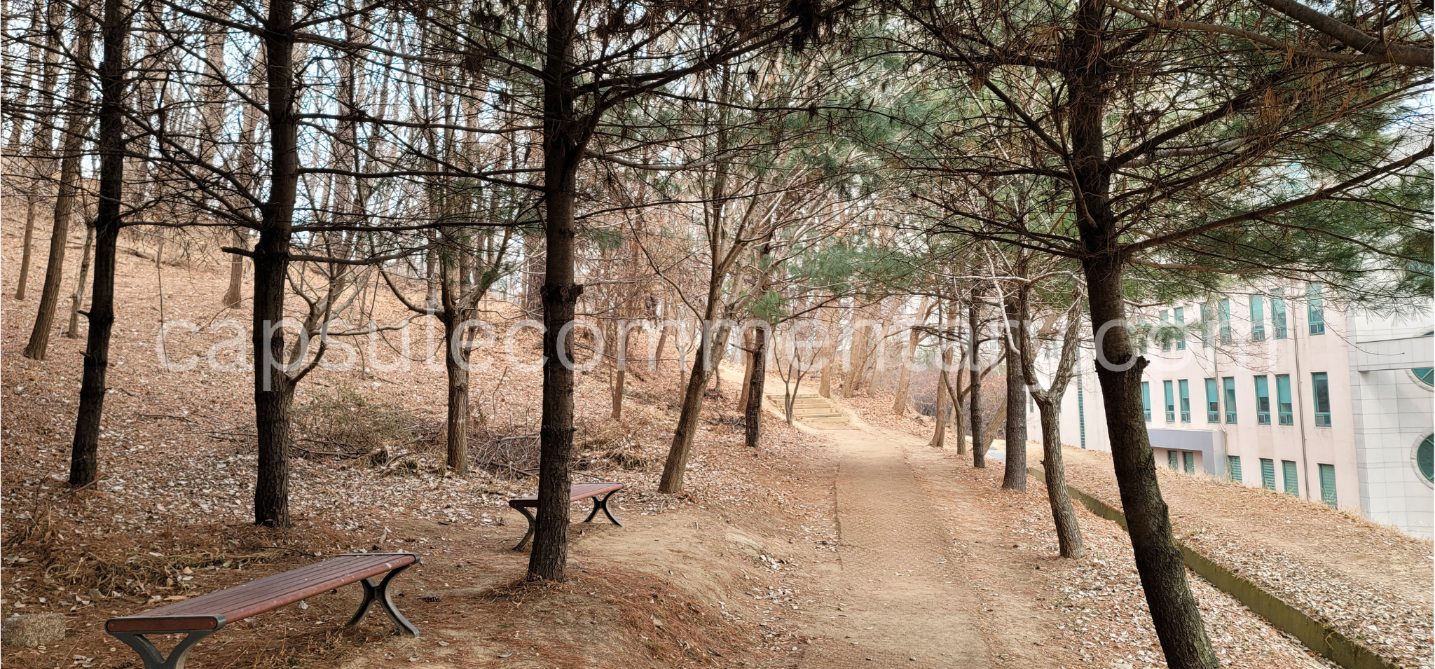 천안에 있는 월봉산 Wolbongsan in Cheonan