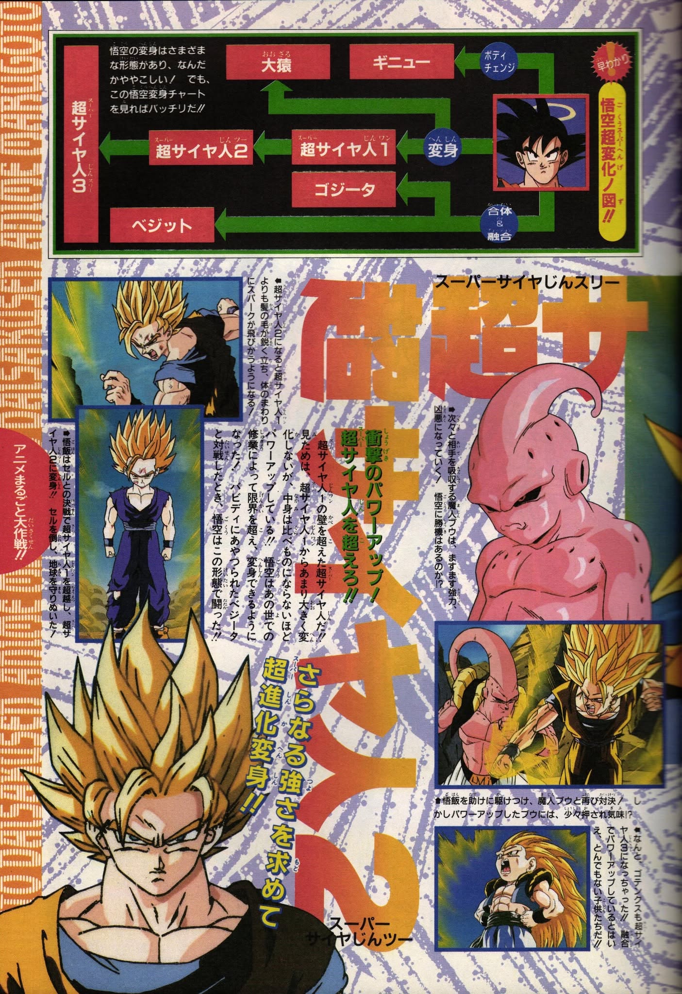 V-Jump November 1995 page 179. "Goku's transformations have various forms and are somehow complicated! But if you look at this Goku transformation chart it will be perfectly clear!! Upon becoming Super Saiyan 2, the hair bundles stand up more sharply than Super Saiyan, and sparks fly around the body. It is a Super Saiyan that has surpassed the wall of Super Saiyan 1. The appearance does not change much compared to Super Saiyan 1, but internally it is powered up to an incomparable degree beyond Super Saiyan 1!! Goku surpassed his limits through training in the other world!!" Image from "Vjump archives" on Facebook.