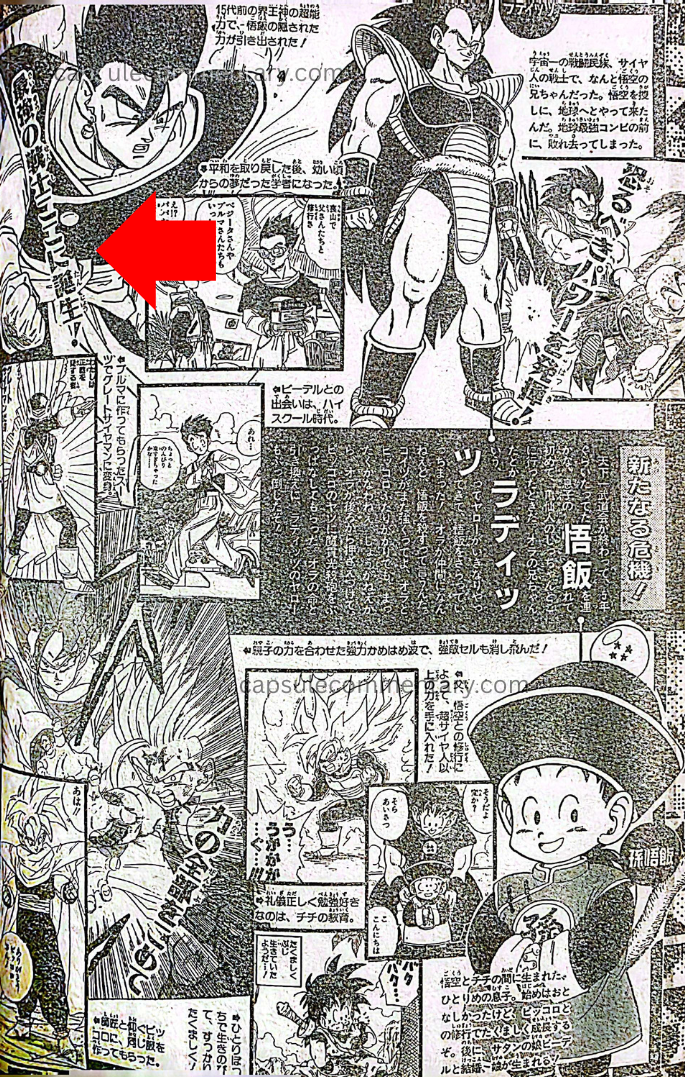 Dragon Ball New Book section, Weekly Shōnen Jump 1995 Issue 28 page 206